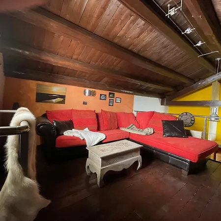 Caput Seralcadia Apartment